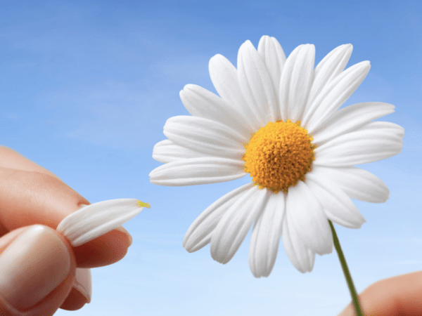 They love me, they love me&nbsp;not